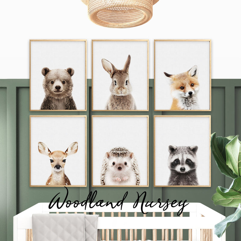 Woodland nursery prints collection with baby animal prints for forest nursery wall art decor, kids rooms and playrooms, large printable wall art and shipped prints