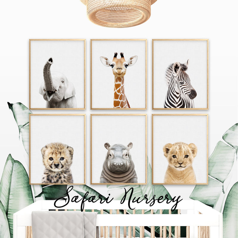 Safari nursery prints collection with baby animal prints for jungle nursery wall art decor, kids rooms and playrooms, large printable wall art and shipped prints