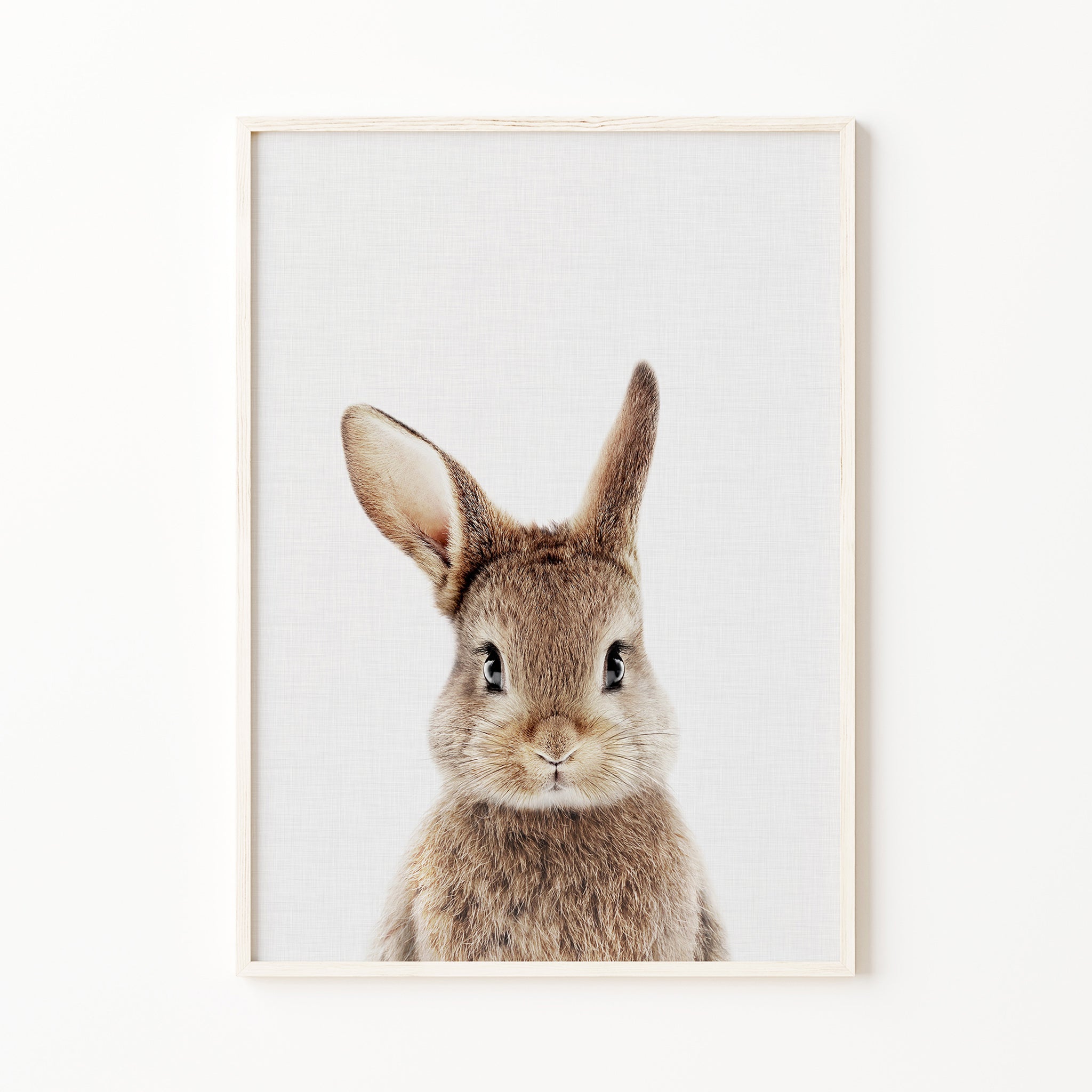 Baby bunny rabbit print, baby animal print, farm, woodland nursery wall art, bunny nursery decor for digital download, large printable wall art