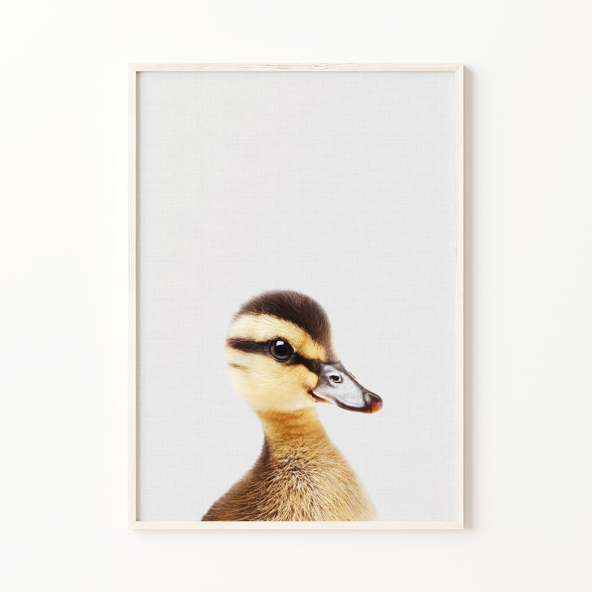 Baby duck print for nursery wall art decor, farm animal nursery print, farm baby room wall art, large digital download, printable wall art
