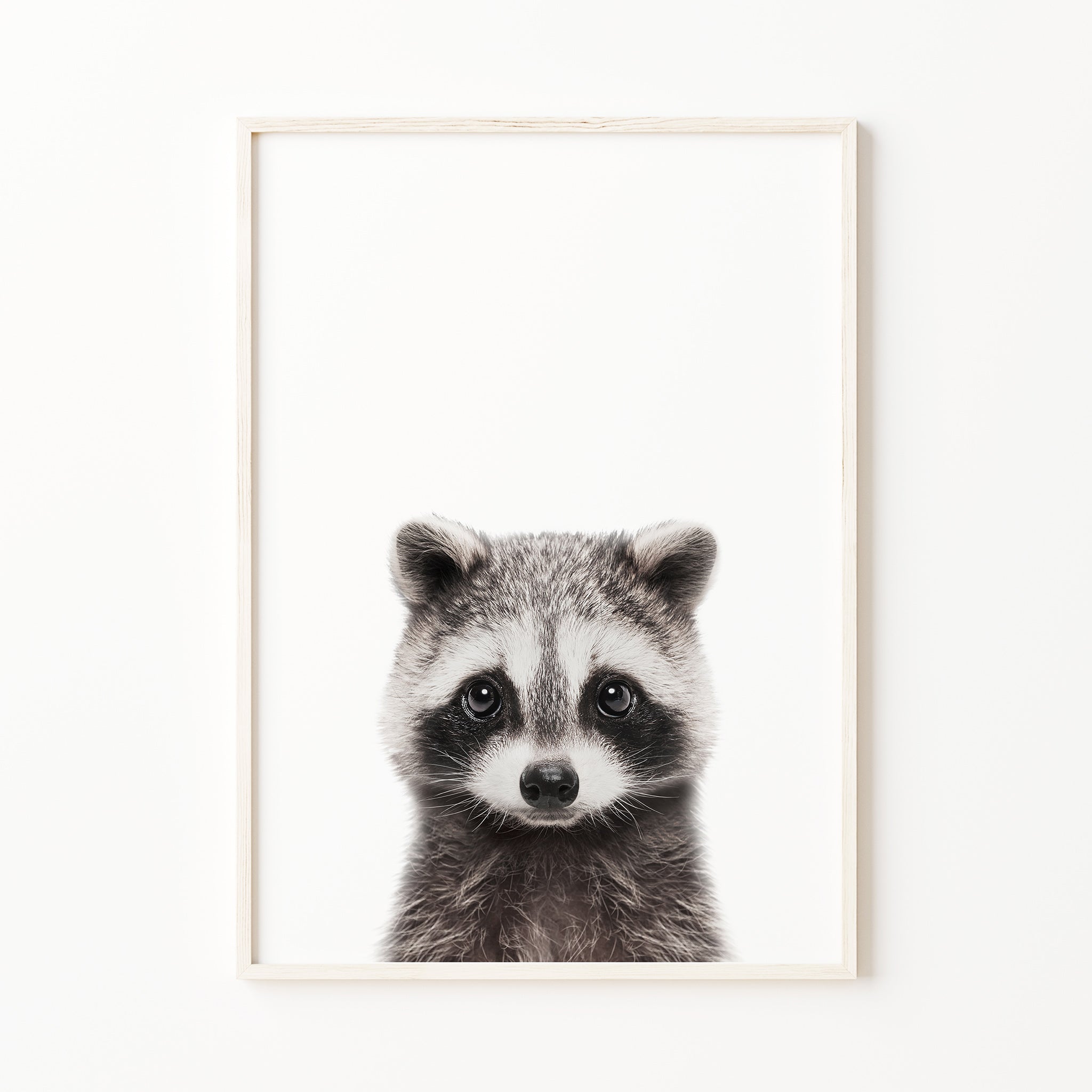 baby raccoon print woodland nursery animal print forest baby room wall art


