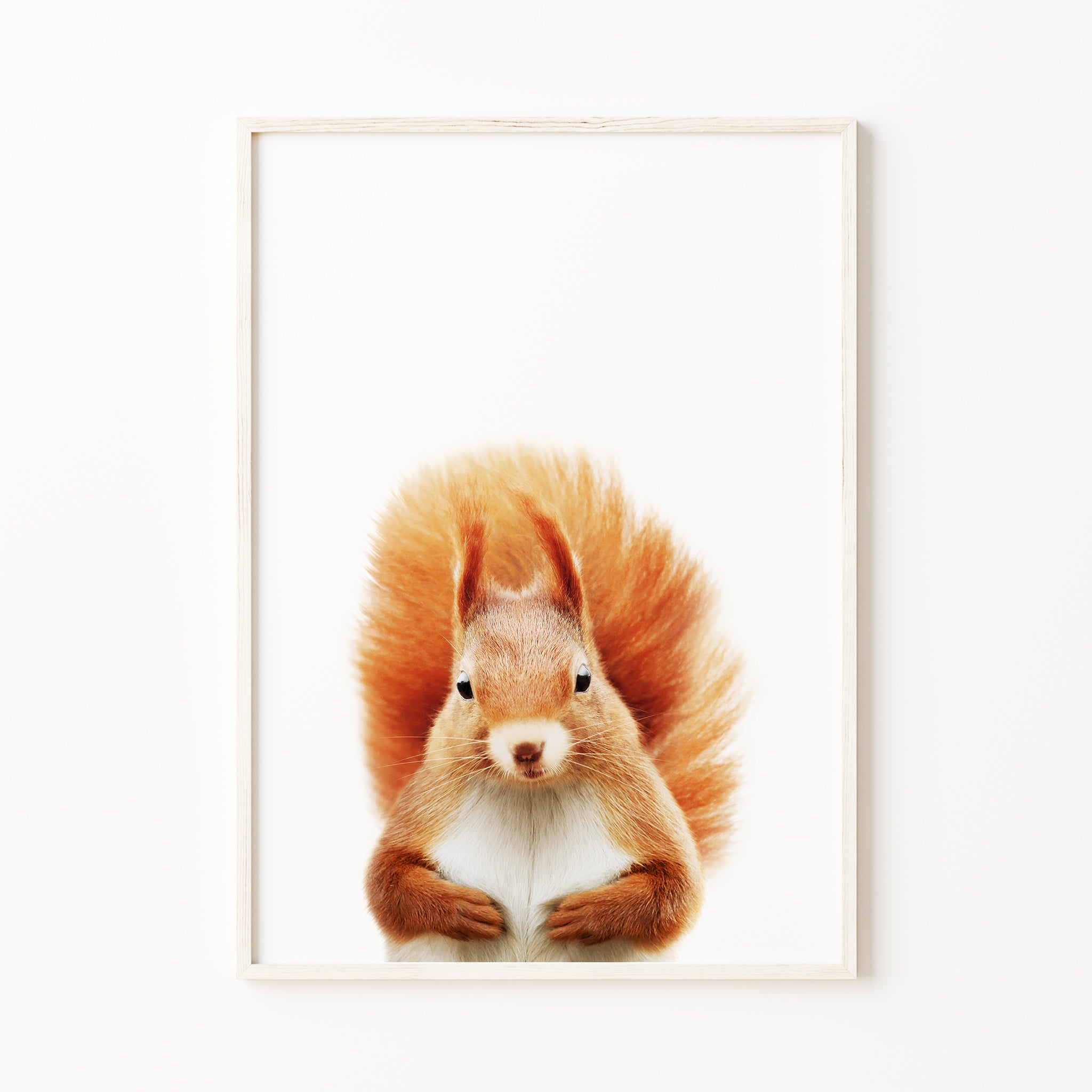 baby squirrel nursery wall art woodland animal nursery print

