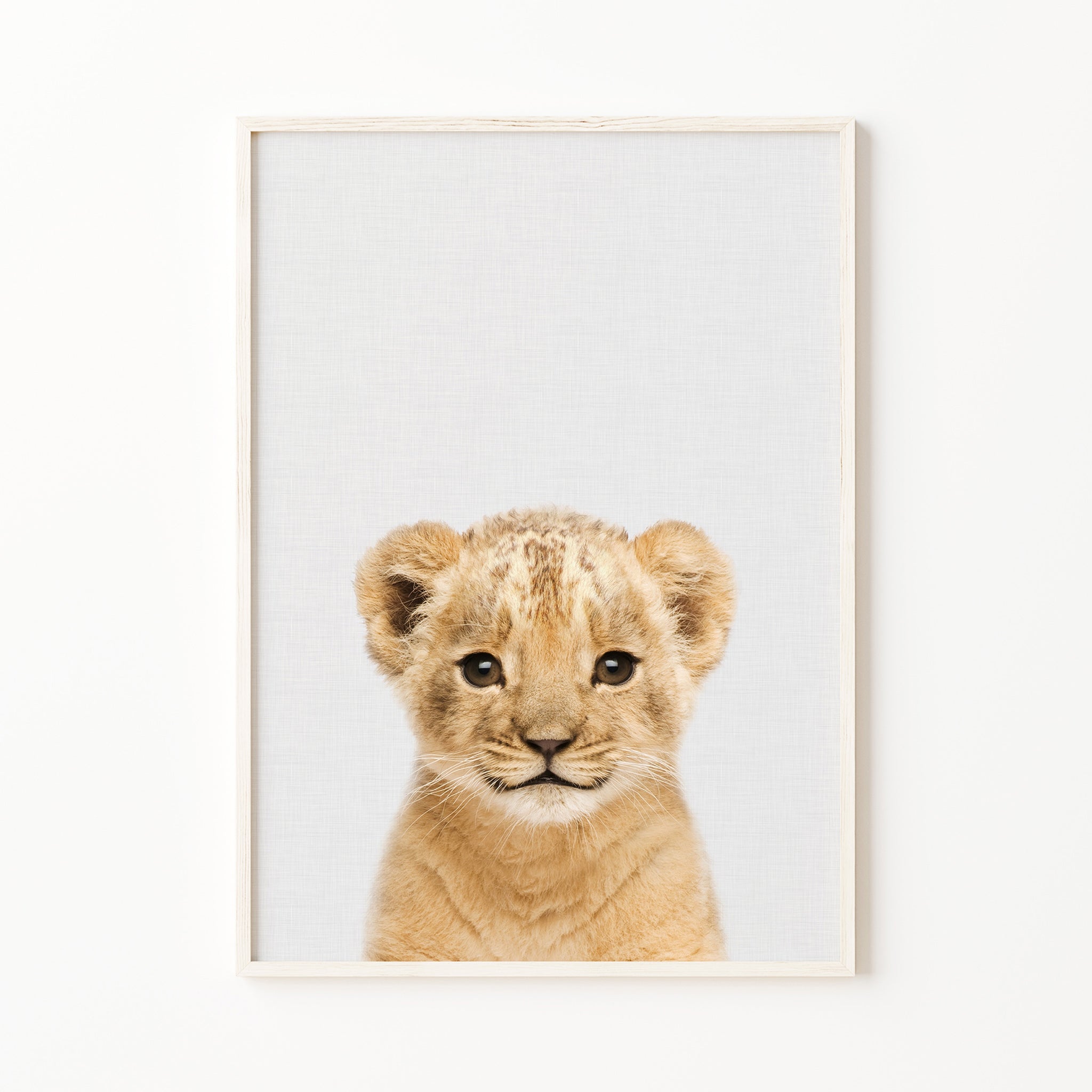 lion cub print jungle animal print safari nursery decor