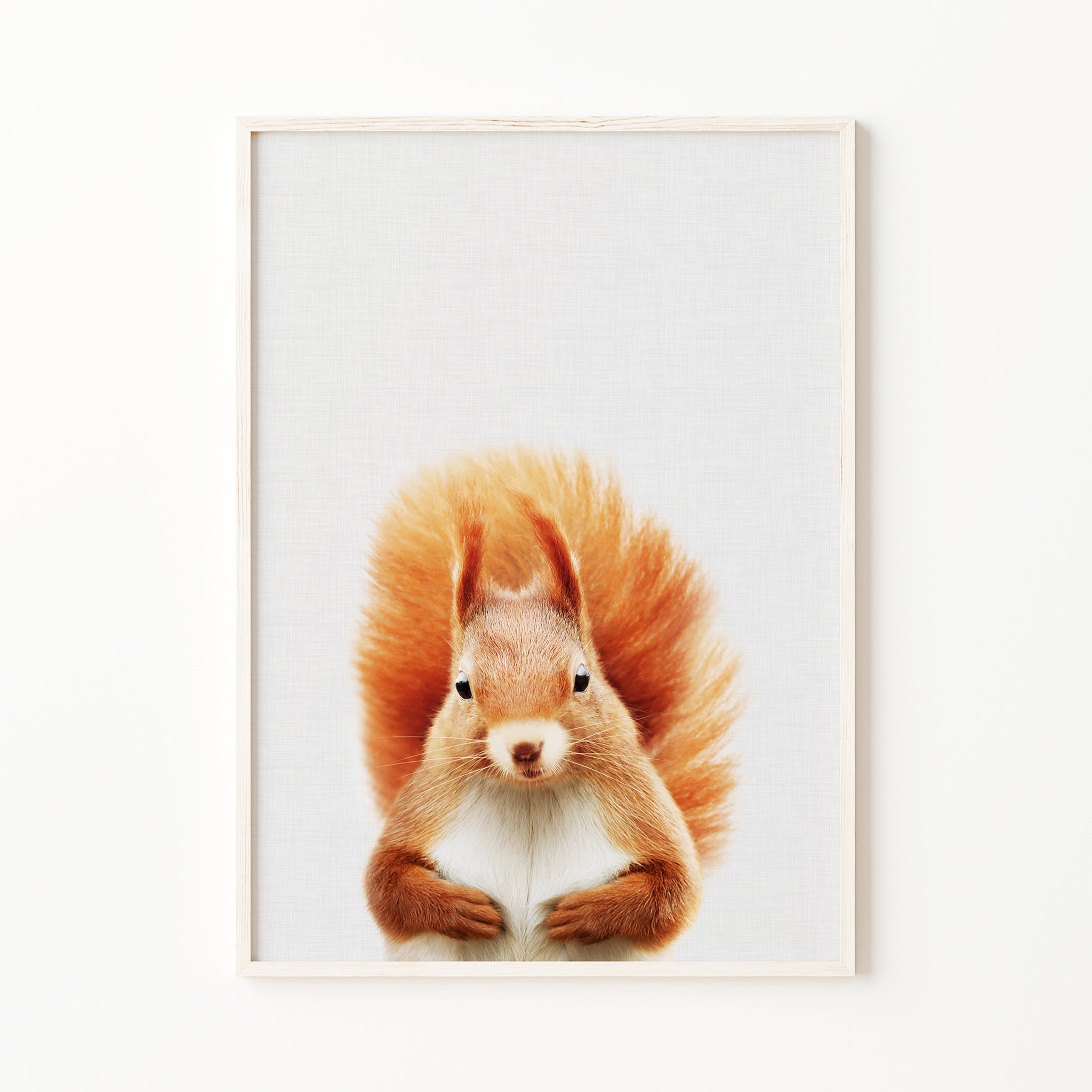 baby squirrel nursery print woodland baby room forest nursery ideas
