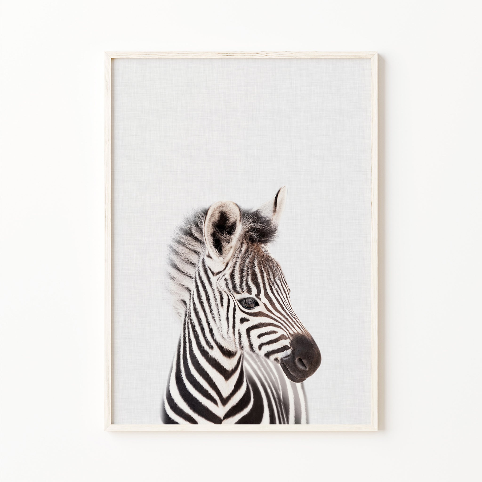 zebra baby animal print safari nursery wall art decor 