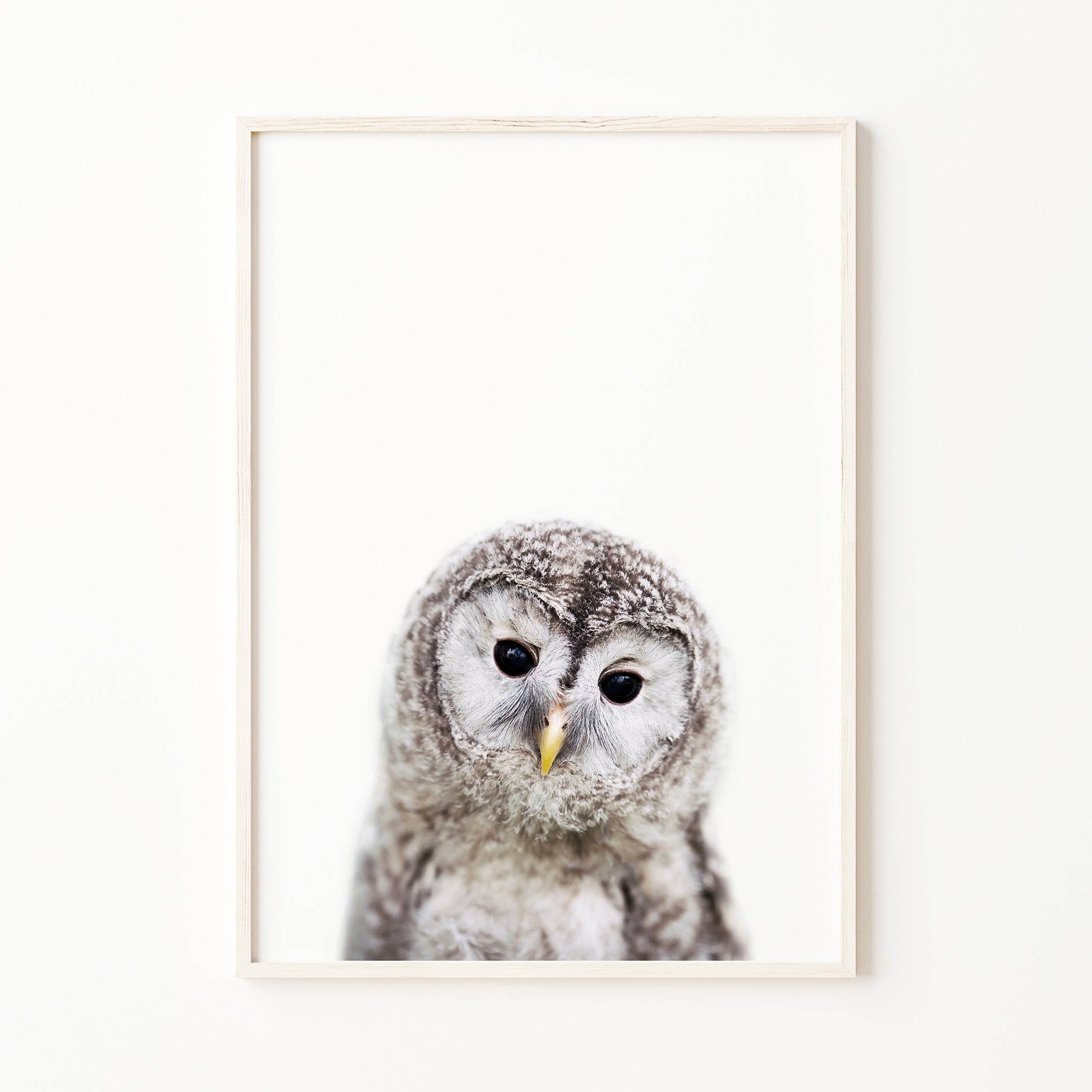 Baby owl print forest nursery print gender neutral nursery decor

