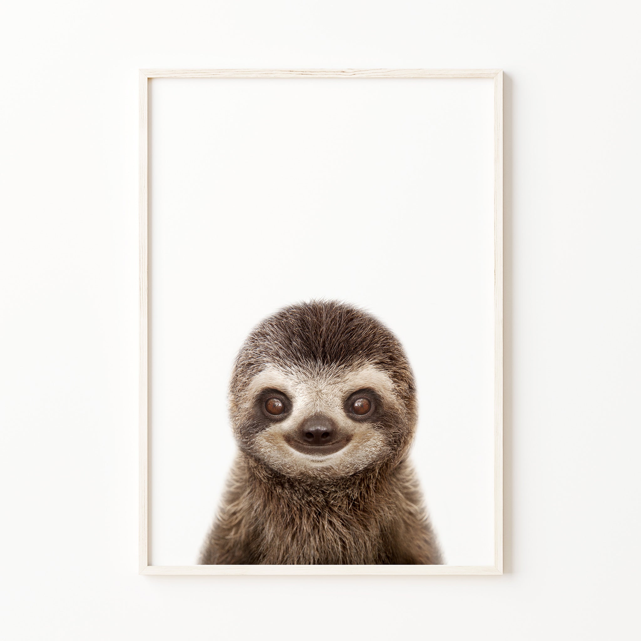 baby sloth print baby animal print rainforest nursery wall art decor

