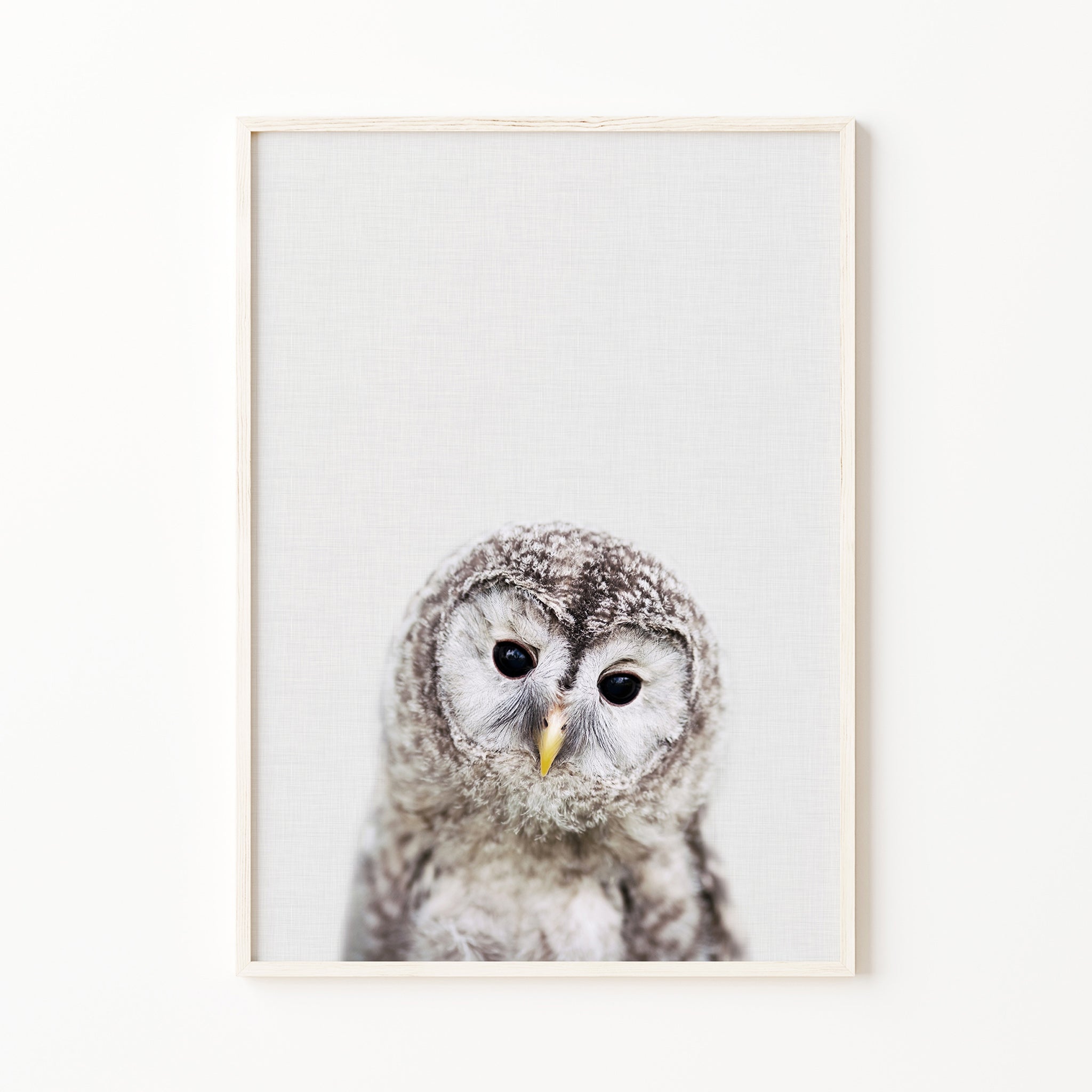 Baby owl print nursery animal print woodland nursery wall art forest baby room print