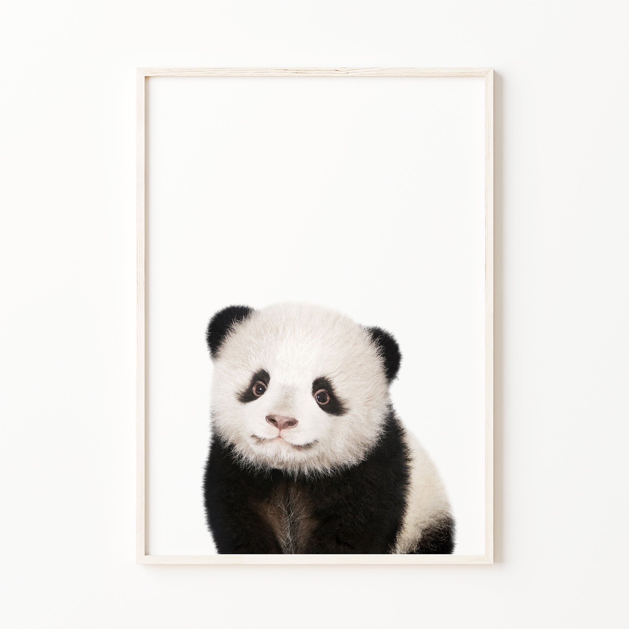 Baby panda bear print baby animal wall art for nursery

