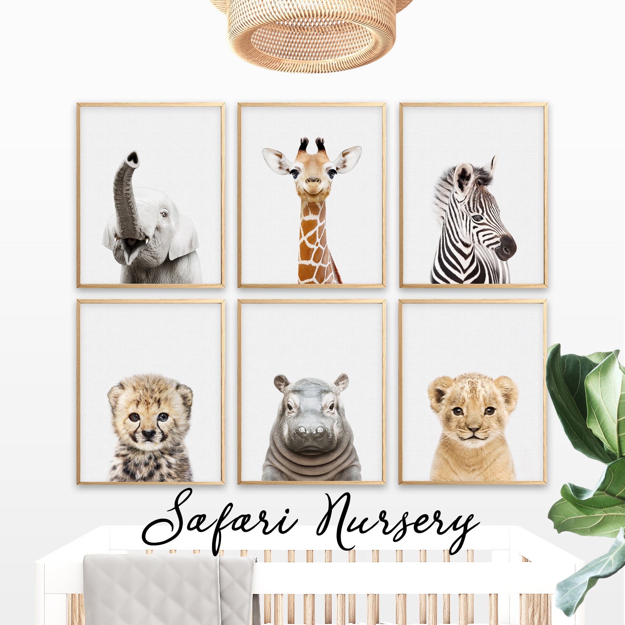 baby animal prints safari animal nursery prints modern nursery ideas