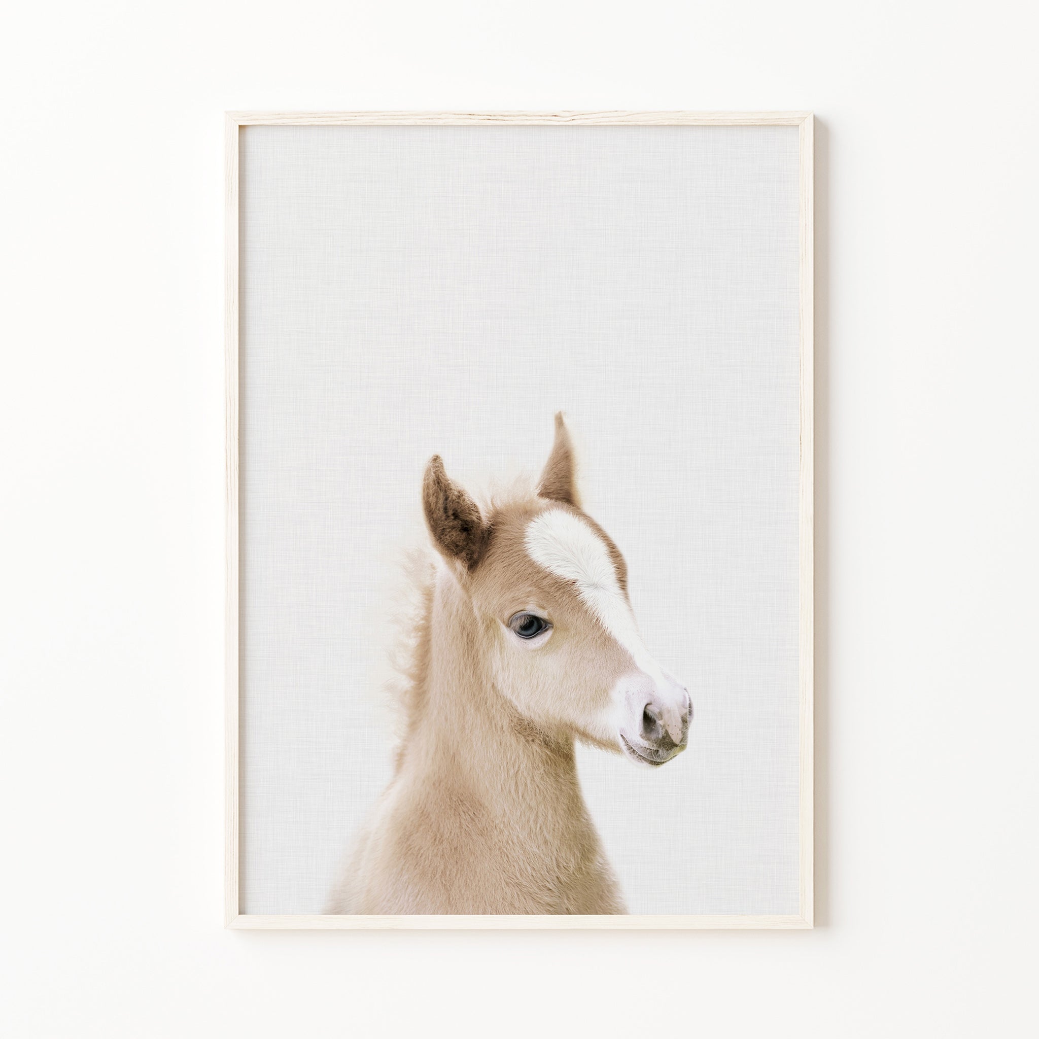 baby horse print farm nursery print farm baby animal print for nursery, large printable wall art, digital download